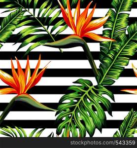Exotic tropic plants composed of palm banana leaves, paradise Strelitzia flower on black and white stripe geometric background. Flower trendy seamless vector pattern. Hand drawn fashion wallpaper.