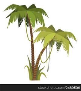 Exotic tropical beach greenery. Cartoon palm tree isolated on white background. Exotic tropical beach greenery. Cartoon palm tree