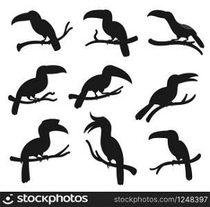Exotic tropical birds, vector silhouette icons. Cartoon toucan and hornbill birds with big beaks sitting on tree branch, jungle birds and zoology park symbols. Toucan, hornbill exotic tropical birds silhouette