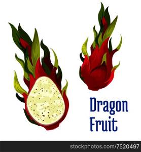 Exotic tropical dragon fruit icon. Vector element of red dragon fruit pitaya element whole and half cut. Design emblem for juice, product sticker label, snack package design, tag. Exotic tropical dragon fruit icon
