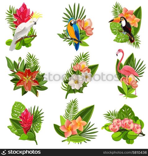 Exotic tropical flowers and birds icons collection with beautiful opulent green foliage arrangements abstract isolated vector illustration. Tropical birds and flowers pictograms set