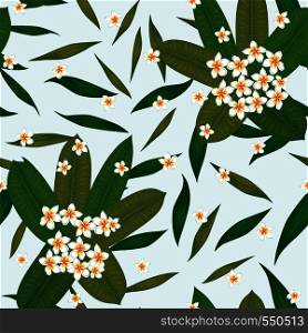 Exotic tropical flowers plumeria (frangipani) bouquet with leaves. Seamless realistic vector on the white background. Fabric pattern wallpaper