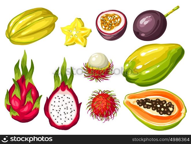 Exotic tropical fruits set. Illustration of asian plants. Exotic tropical fruits set. Illustration of asian plants.