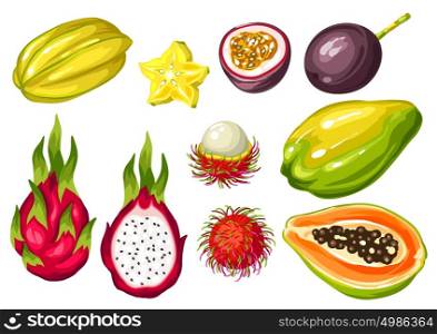 Exotic tropical fruits set. Illustration of asian plants. Exotic tropical fruits set. Illustration of asian plants.