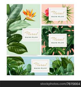Exotic tropical houseplants 4 realistic advertising banners set with bird paradise flower hibiscus cacti monstera vector illustration
