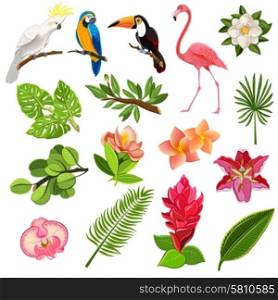 Exotic tropical leaves and parrots pictograms collection with orchids hibiscus and magnolia flowers buds abstract vector illustration. Tropical birds and plants pictograms set