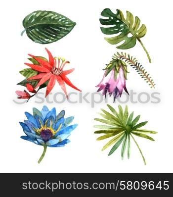 Exotic tropical rainforest botanic garden plants flowers and leaves pictograms collection watercolor sketch abstract isolated vector illustration. Tropical plants leaves watercolor sketch icons