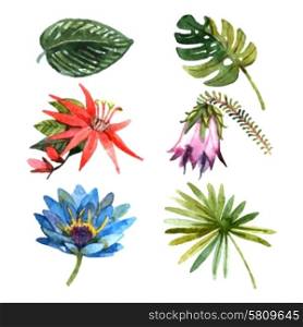 Exotic tropical rainforest botanic garden plants flowers and leaves pictograms collection watercolor sketch abstract isolated vector illustration. Tropical plants leaves watercolor sketch icons