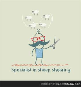 expert thinks about how to shear sheep