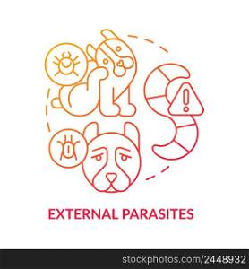 External parasites red gradient concept icon. Disease risk for dogs abstract idea thin line illustration. Tapeworms and mites danger. Isolated outline drawing. Myriad Pro-Bold font used. External parasites red gradient concept icon