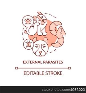 External parasites terracotta concept icon. Disease risk for dogs abstract idea thin line illustration. Tapeworms, mites. Isolated outline drawing. Editable stroke. Arial, Myriad Pro-Bold fonts used. External parasites terracotta concept icon