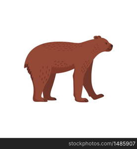 Extinct animals. Short-faced bear. Prehistoric extinct american bear. Flat style vector illustration isolated on white background. Extinct animals. Short-faced bear. Prehistoric extinct american bear. Flat style vector illustration isolated on white background.