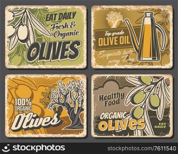 Extra virgin olive oil and green olives, vector vintage retro scratched metal plates. Natural organic extra virgin oil in pitcher jar and olive tree. Agriculture and cuisine cooking. Olives and extra virgin olive oil