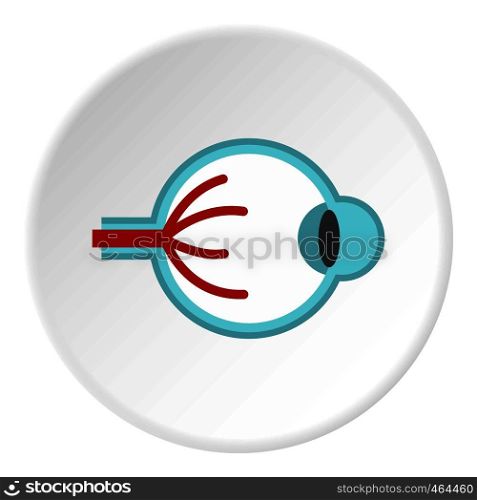 Eye anatomy icon in flat circle isolated vector illustration for web. Eye anatomy icon circle