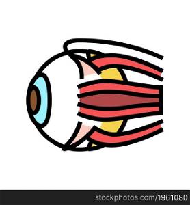 eye human organ color icon vector. eye human organ sign. isolated symbol illustration. eye human organ color icon vector illustration