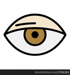 Eye icon. Outline eye vector icon color flat isolated. Eye icon color outline vector