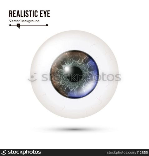 Eye Realistic. Vector Illustration Of 3d Human Glossy Photo Rrealistic Eye With Shadow And Reflection. Front View. Isolated On White Background. Eye Realistic. Vector Illustration Of 3d Human Glossy Photo Rrealistic Eye With Shadow And Reflection. Front View. Isolated On White Background.