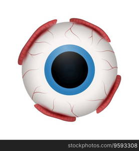 Eyeball of human ophthalmology realistic design vector image