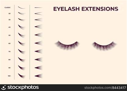 Eyelash volume boost set. Fake eyelashes cluster collection for extension process infographics and guides. Flat vector illustrations