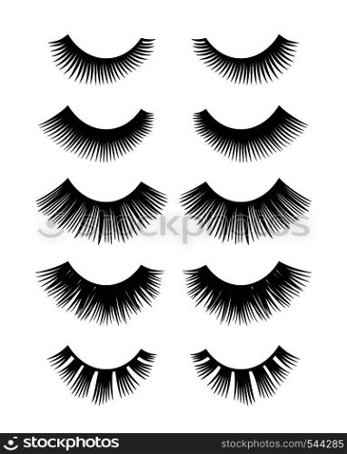 Eyelashes set isolated on white background, Vector illustration.. Black Eyelashes set isolated on white background,