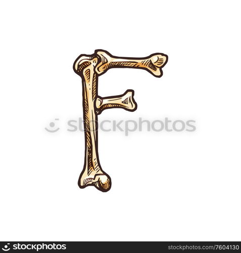 F letter of os or bones isolated spooky alphabet sign. Vector Halloween typography element. Capital letter F of bones isolated ABC symbol