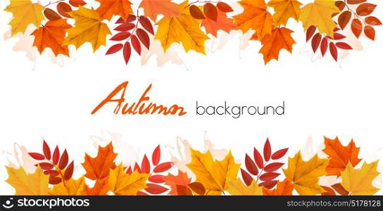 Fall Autumn Colorful Leaves Background. Vector.