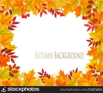 Fall Autumn Colorful Leaves Background. Vector.