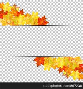 Fall (Autumn) Maple Background. Transparency Grid Design. Vector Illustration.