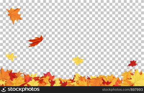 Fall (Autumn) Theme With Maple Leaves. Transparency Grid Background Design. Vector Illustration.