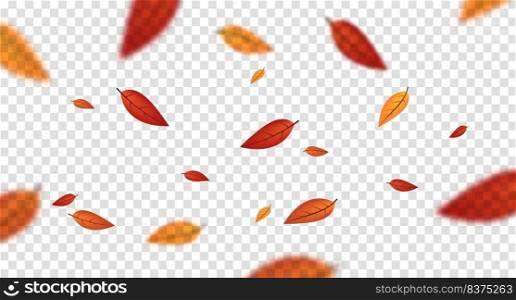 Fall blurred flying leaves, autumn nature vector design elements for photo decoration. Vector illustration