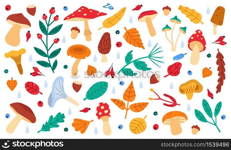 Fall botanical decor. Autumn doodle forest leaves, flowers, berries and mushrooms, botany fall season collection vector illustration icons set. Autumn forest drawing, branch and mushroom