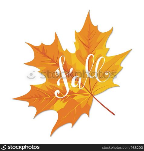 Fall hand lettering phrase on orange autumn maple leaf background