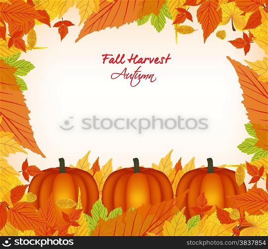 fall harvest background