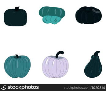 Fall harvest blue green pumpkins isolated on white background. Unique and delicious varieties of winter squashes. Vector Illustration.. Fall harvest blue green pumpkins isolated on white background.