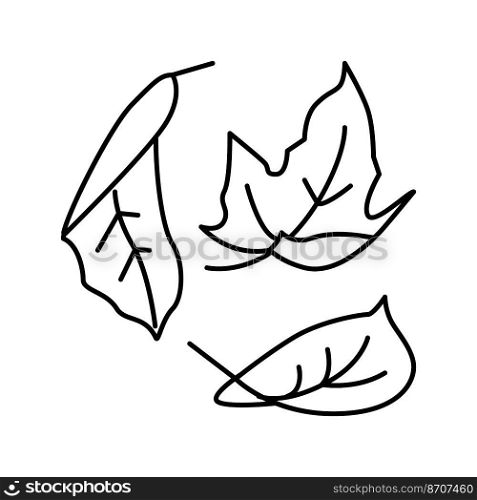 fall leaf autumn line icon vector. fall leaf autumn sign. isolated contour symbol black illustration. fall leaf autumn line icon vector illustration