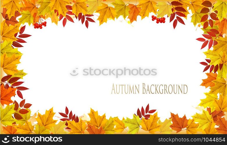 Fall Nature Autumn Colorful Leaves Background. Vector.