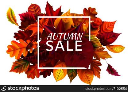 Fall sale banner. Autumn season sales, autumnal discount and fallen leaves banners frame. October purchase advertising discounts, foliage fall school shopping advertising vector illustration. Fall sale banner. Autumn season sales, autumnal discount and fallen leaves banners frame vector illustration