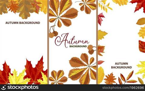 Fall season banners with copyscape and background. Empty posters with colored dry leaves of maple tree. Autumn ornaments and motif, decorative advertisement. Vector in flat style illustration. Autumn background and empty banners with leaves