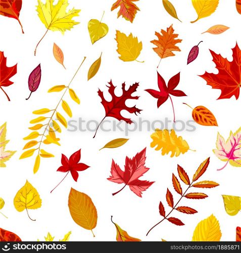 Fall season leaves seamless pattern isolated on white. Background or print with maple foliage, ornaments of defoliation of tree. October or november autumnal falling leafage, vector in flat style. Autumn foliage, falling leaves of fall season vector