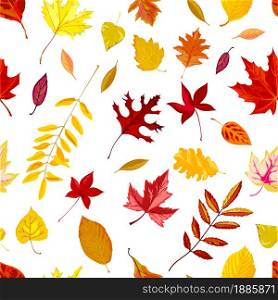 Fall season leaves seamless pattern isolated on white. Background or print with maple foliage, ornaments of defoliation of tree. October or november autumnal falling leafage, vector in flat style. Autumn foliage, falling leaves of fall season vector