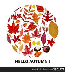 Fall season poster in rounded shape, hello autumn. Decorative poster with rowanberry and maple leaves, dry foliage and chestnut. Clearance and discounts, greeting cards. Vector in flat style. Hello autumn, poster with dry leaves and foliage