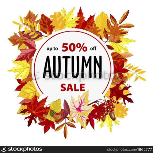Fall season sale and discounts, promotional banner or poster with 50 percent off cost. Lowering of price and clearance, autumn flyer with leaves and rounded circle shape. Vector in flat style. Autumn sale, promotional banner with discount