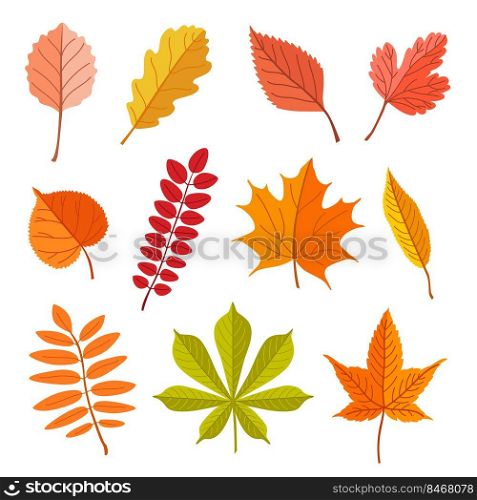 Fallen leaves of different trees vector illustrations set. Forest foliage, dry green, yellow, brown, orange leaves isolated on white background. Autumn or fall, nature, plants concept for decoration
