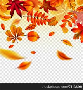 Falling autumn leaves. Flying yellow fall foliage. Autumnal frame border for banners, flyers and card vector forest background elegant red beautiful orange design template. Falling autumn leaves. Flying yellow fall foliage. Autumnal frame border for banners, flyers and card vector template