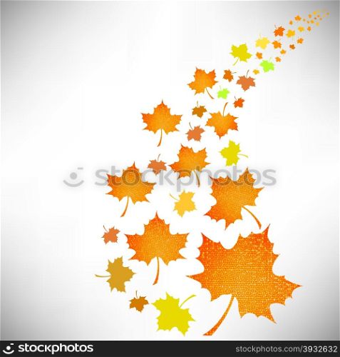 Falling Autumn Leaves Isolated on White Background. Falling Autumn Leaves