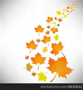 Falling Autumn Leaves Isolated on White Background. Falling Autumn Leaves