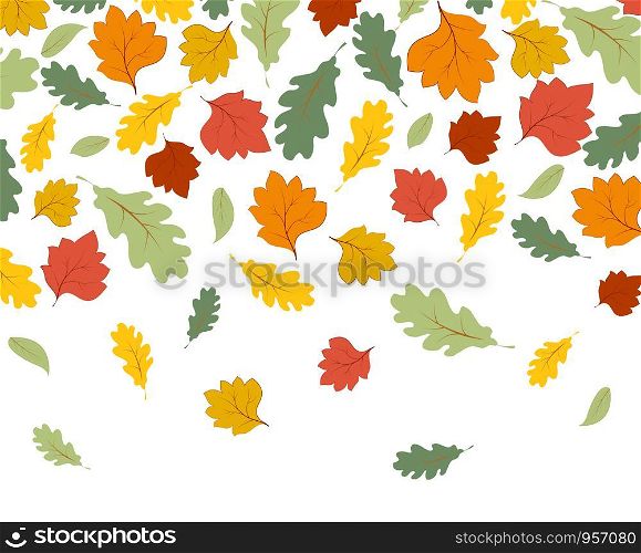 Falling autumn maple leaves isolated on white background