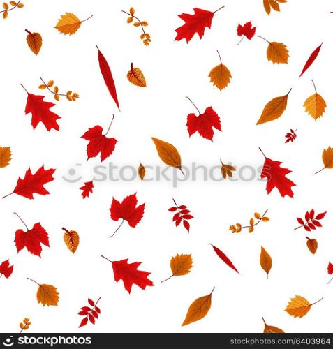Falling Colorful Autumn Leaves on White Background. Seamless Pattern. Vector Illustration. EPS10