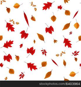 Falling Colorful Autumn Leaves on White Background. Seamless Pattern. Vector Illustration. EPS10