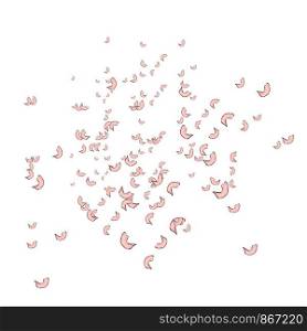 Falling, flying petals of roses, cherry blossoms, cherries, apricots, apple-trees. Whirlwind wedding background love. Falling, flying petals of roses, cherry blossoms, cherries, apricots, apple-trees. Whirlwind, wedding background